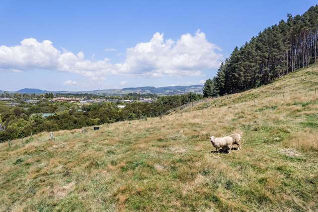 36A Orchard Road Waihi_4