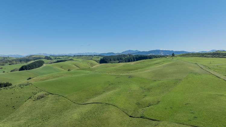 574 Spur Hut Road Temuka_11
