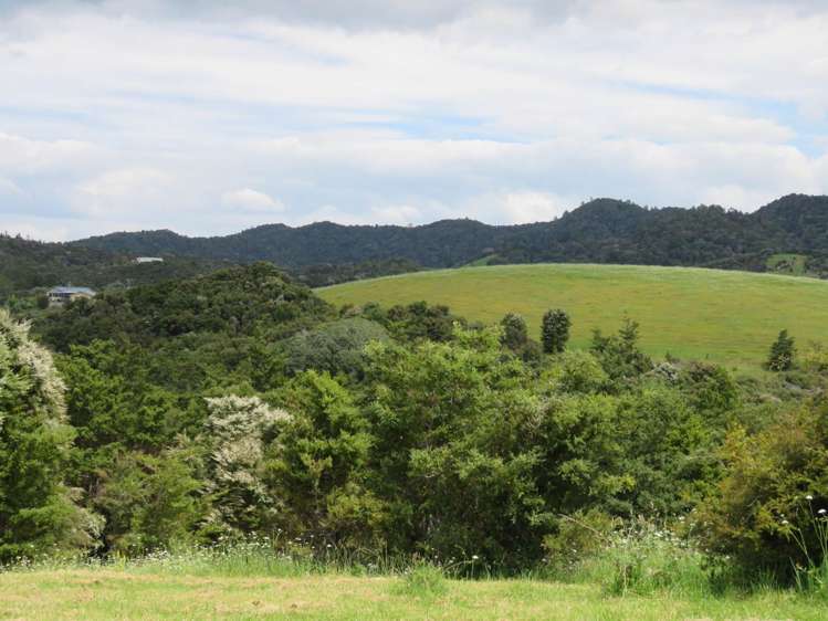 Pataua North Road Pataua_7