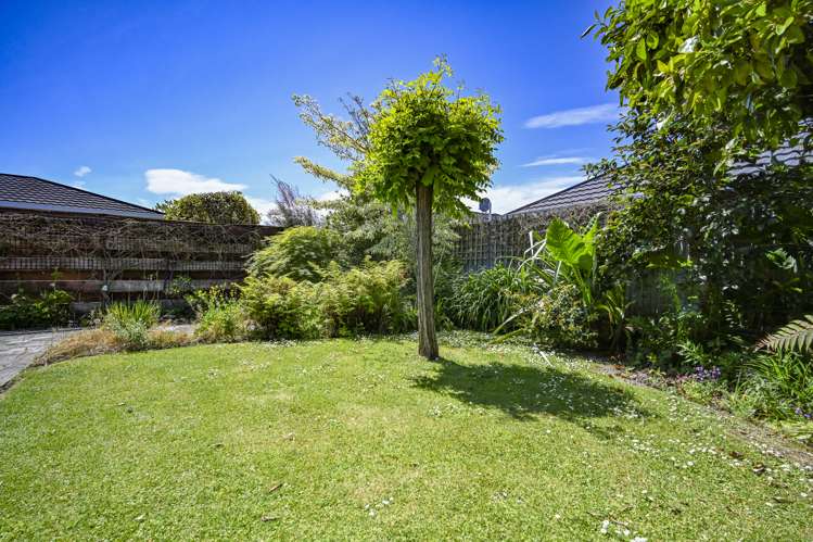 3/205 Knight Street Hastings_14