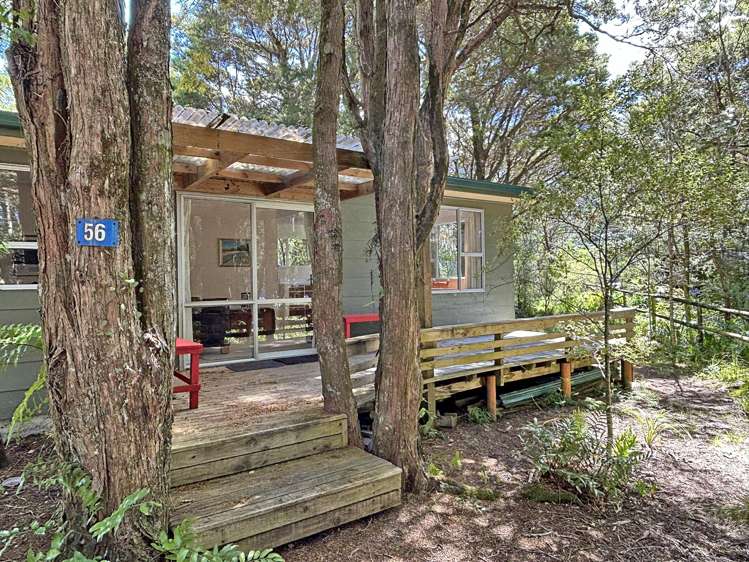 56 Totara Avenue_0