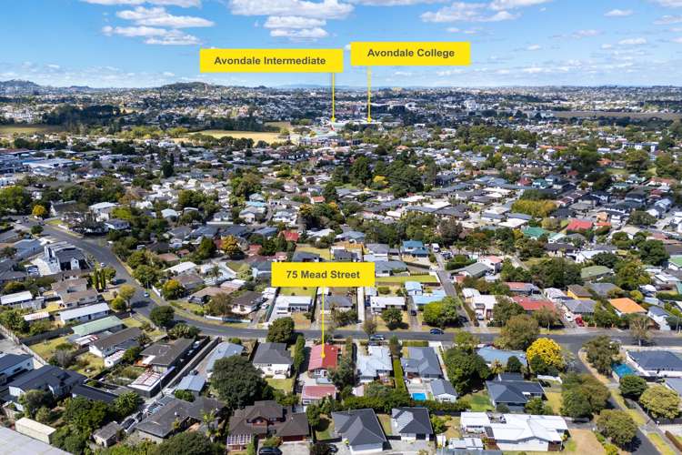 75 Mead Street Avondale_36