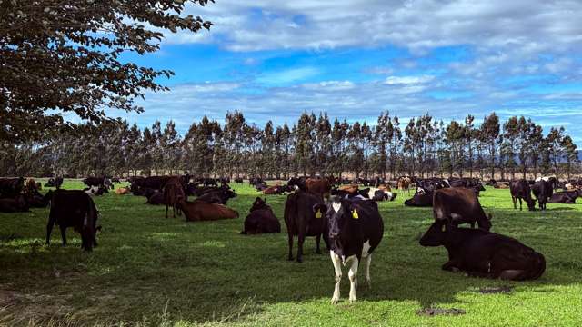 461 Chewings Road Mossburn_1