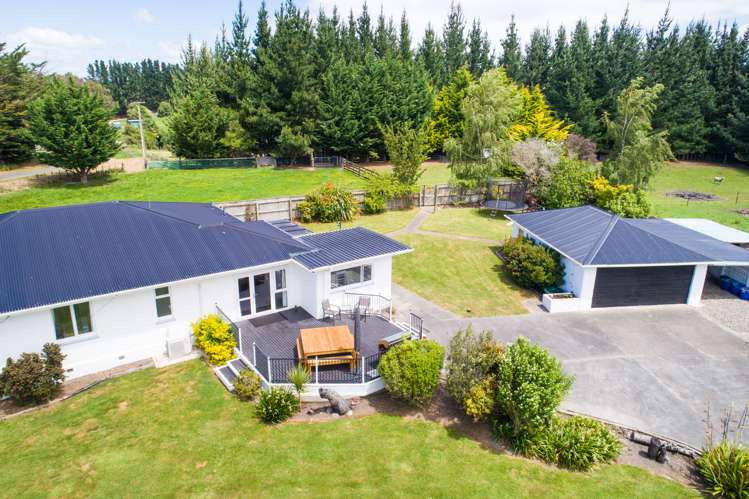 12 Clive Street Halcombe_3