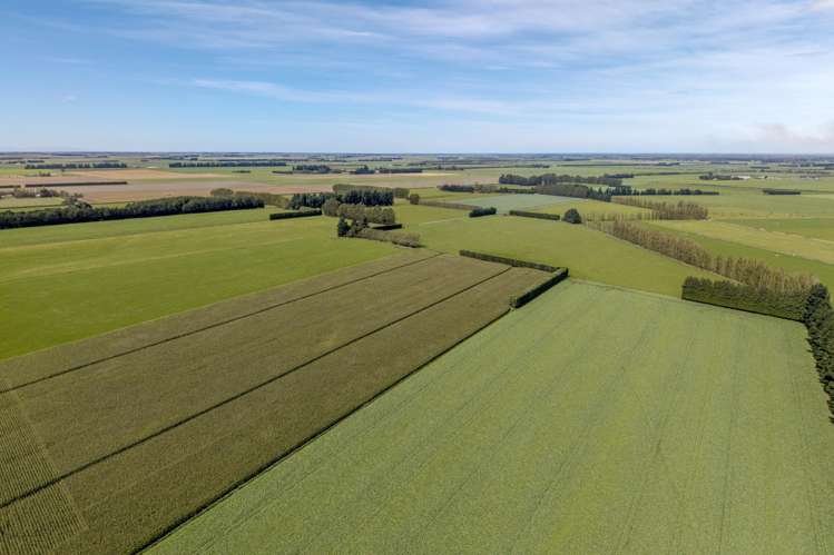 904 Dip Road Methven_12