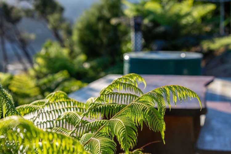 25 Lady Barkly Grove Kaiteriteri_18