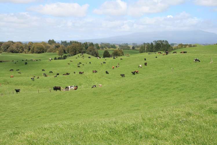 828 Hursthouse Road Inglewood_1