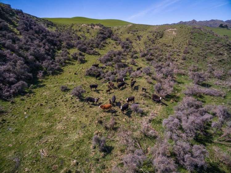 307 Broxton Road MacDonald Downs_24