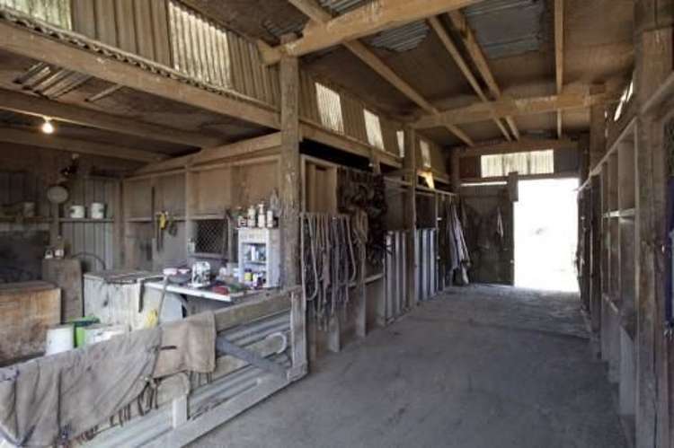 227 Hicks Road Cambridge_15