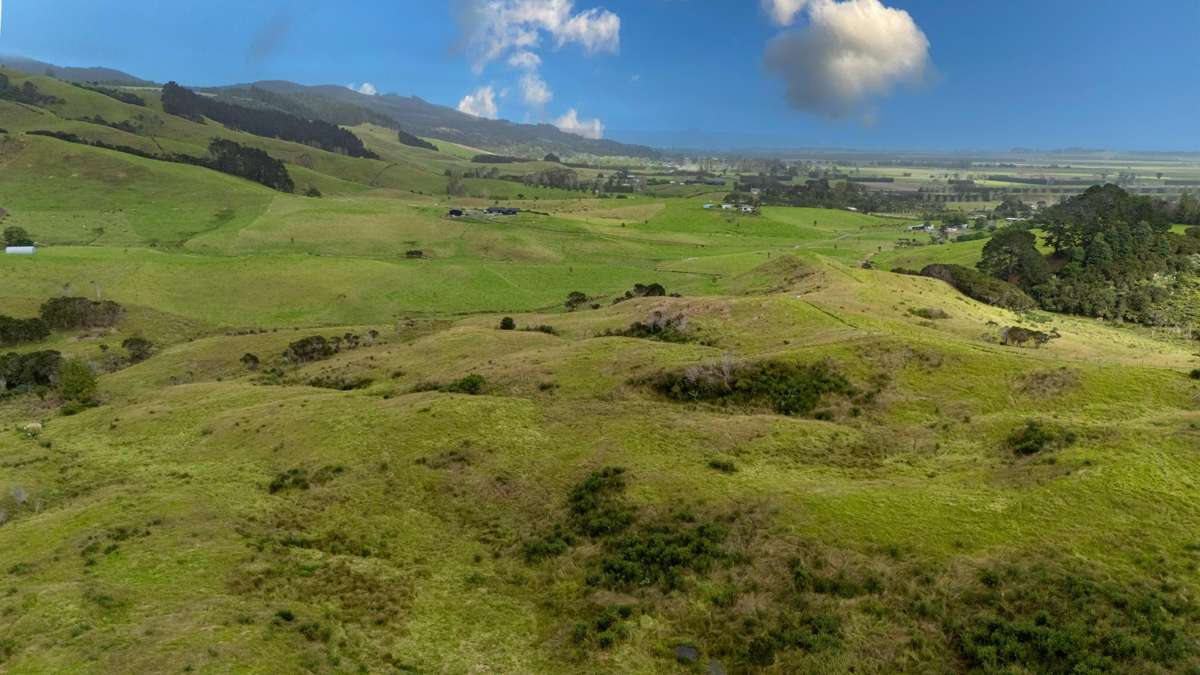 Lot 1 Okahu Road_2
