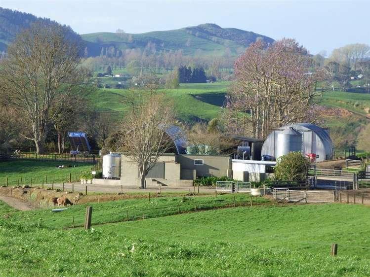 203/219 Paewhenua Road Maihiihi_20