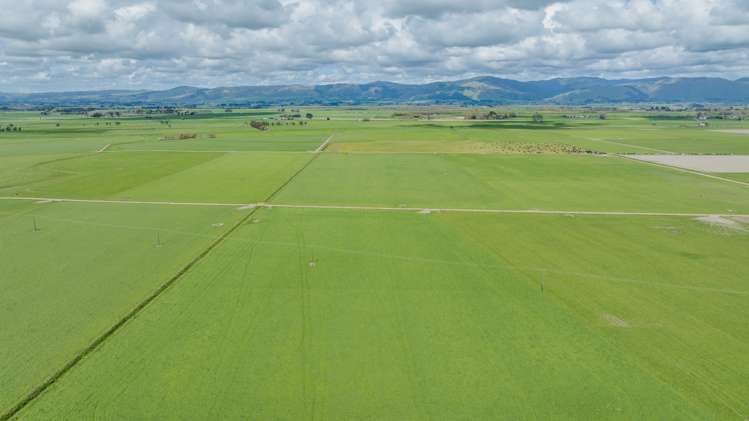 1217 Rangiotu Road Tiakitahuna_10