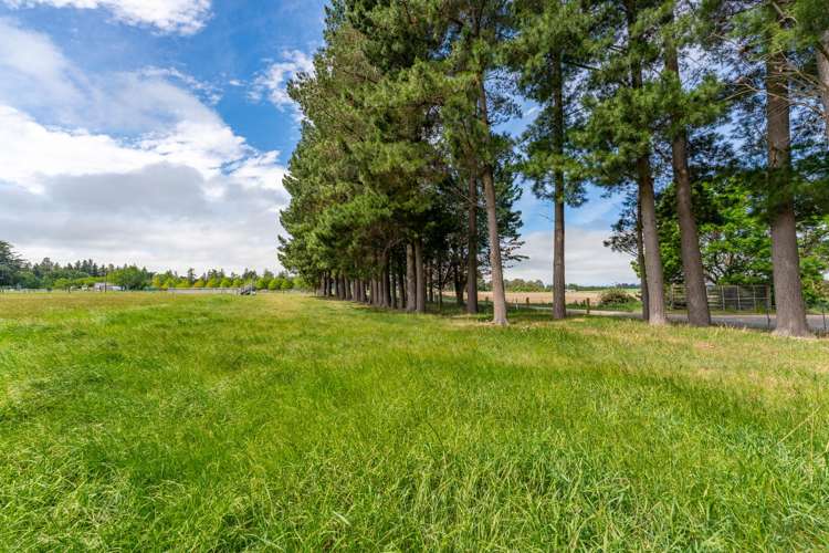 54 Studholme Settlement Road_2