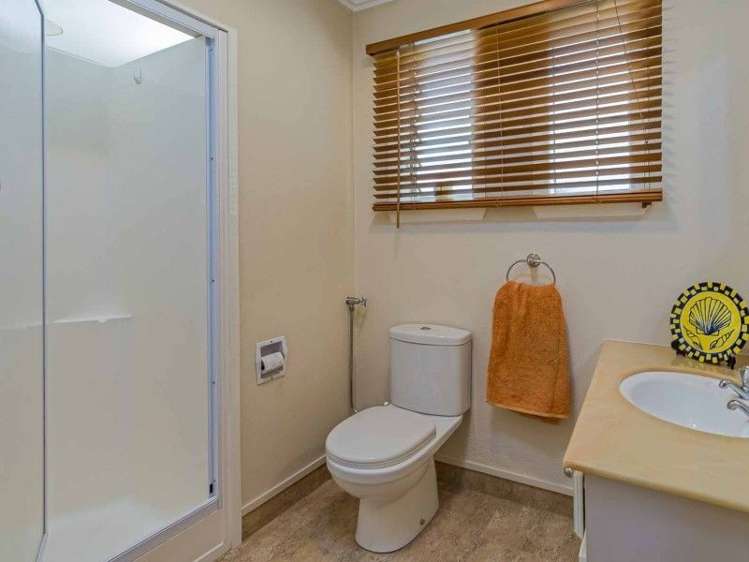 18 Douglas Road Wakatu_10