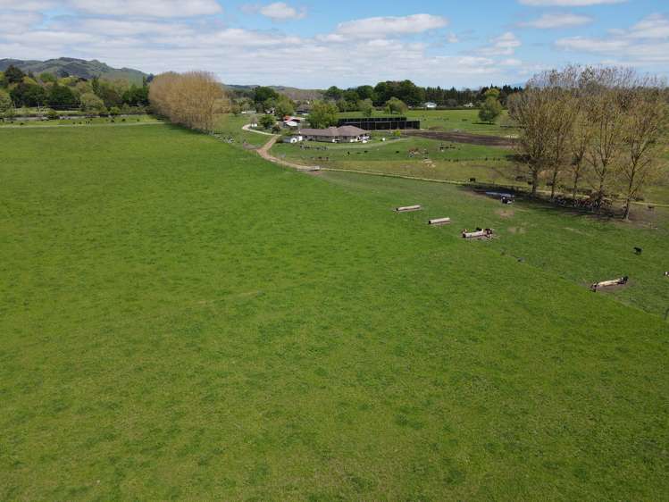 2/573 Tirau Road Cambridge_6