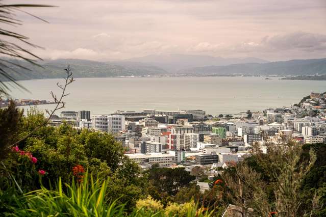 4/147 Ohiro Road Brooklyn_1