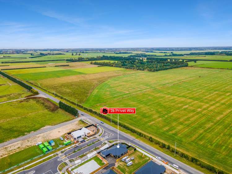 26 Privet Way Rolleston_28