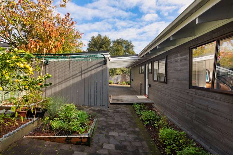 53a Landscape Road Mount Eden_16