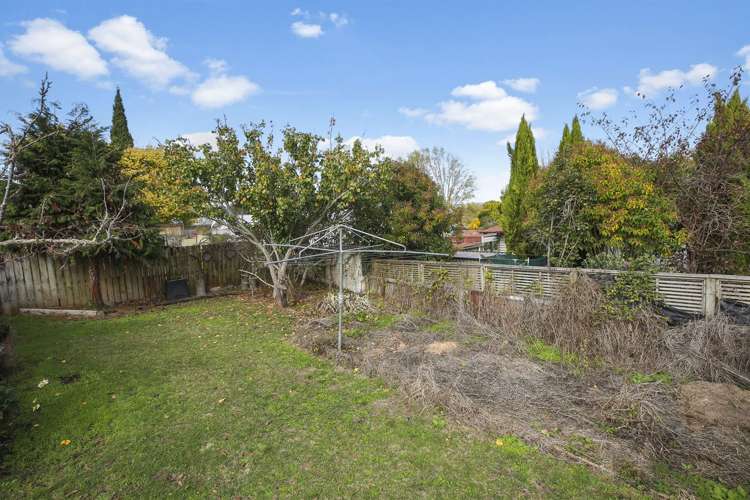 65 Willoughby Street Paeroa_10