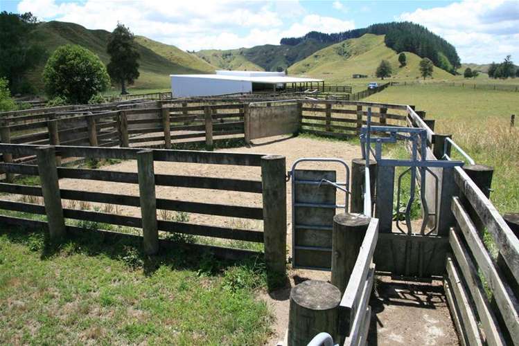 Walter Road Douglas_12