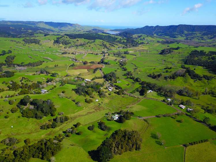 110 Diggers Valley Road Herekino_25