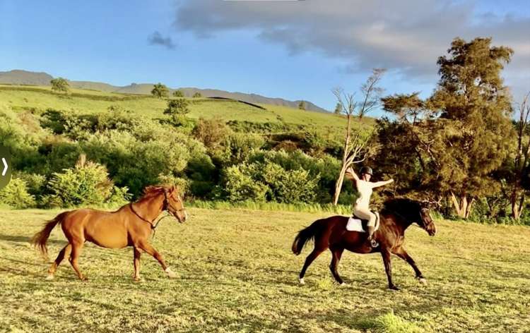 210C Okauia Springs Road Matamata_22