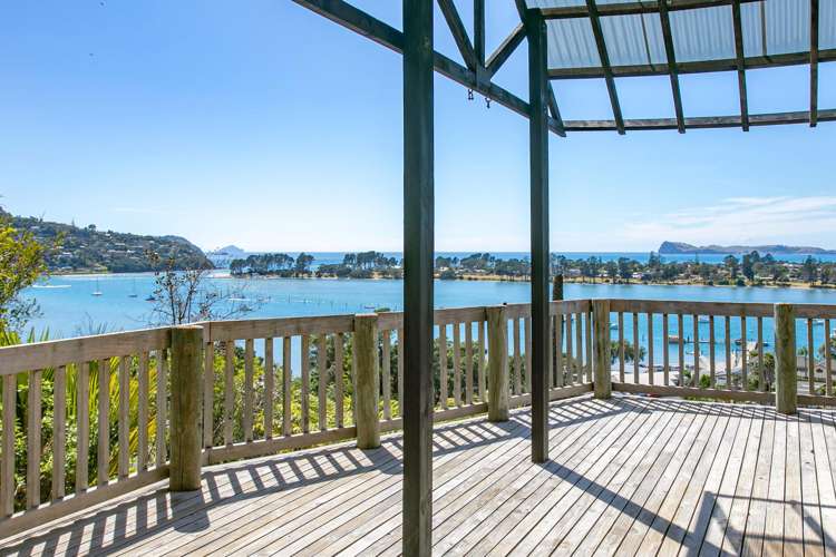 23 Pine Grove Tairua_5
