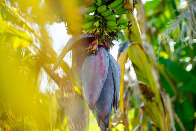 48 Elizabeth Street Waikanae_52