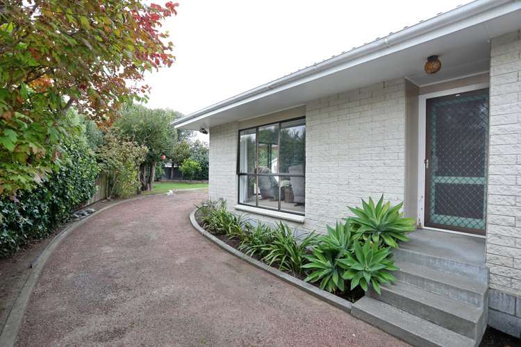 12 Hammond Street Bulls_18