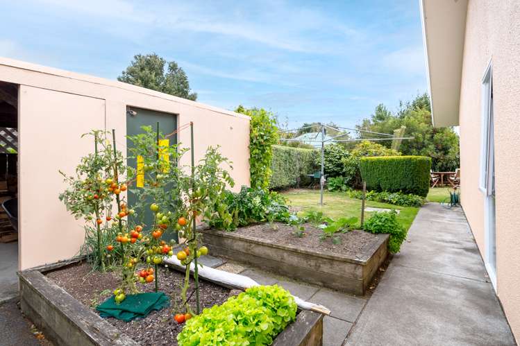 116 West Street Greytown_25