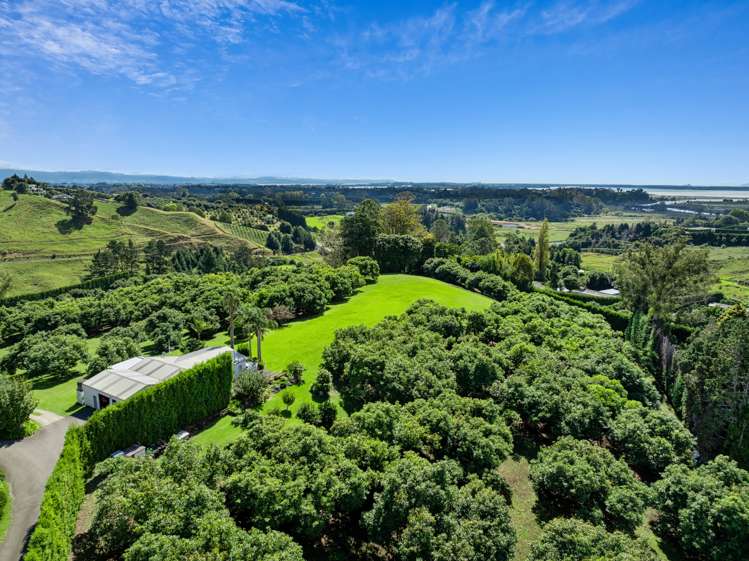 14c Crawford Road Wairoa_17