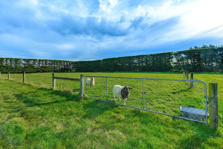 27 Springston Rolleston Road Rolleston_33