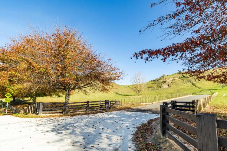 Lot 1, 741 Puketapu Road_0