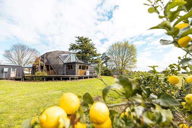 Multi-million-dollar dome home for sale