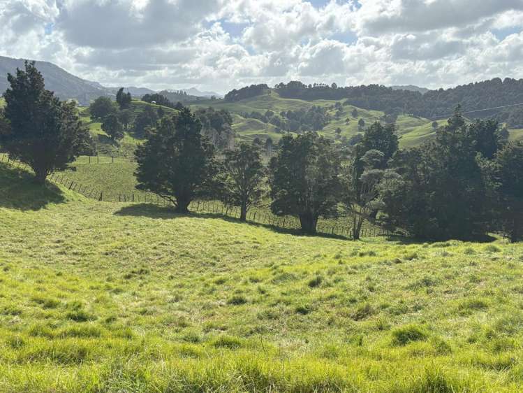 185 Kohukohu Road Kohukohu_28