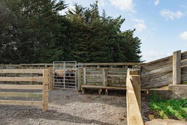 2048 State Highway 50 Ongaonga_3