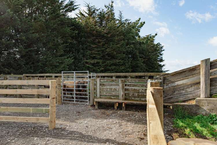 2048 State Highway 50 Ongaonga_3