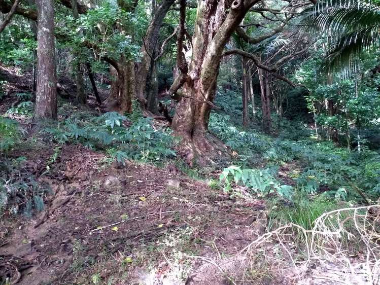 1708 Russell Road Hukerenui and Surrounds_16