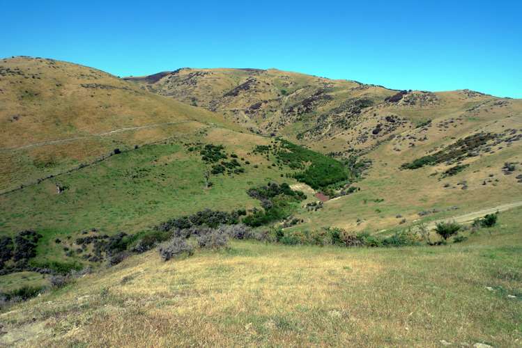 3/266 Patersons Road Motunau_3