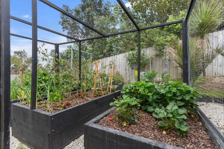 3 Claude Street Mangawhai Heads_39