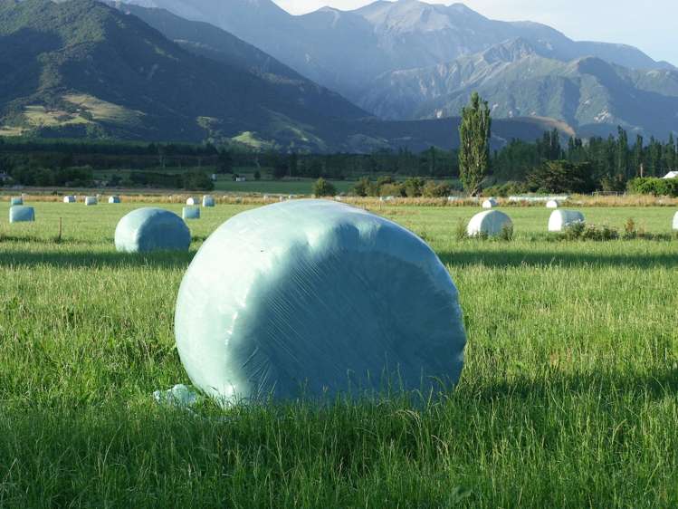 208 Schoolhouse Road Kaikoura_6