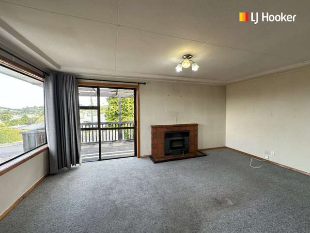 6 Stephen Street Halfway Bush_3