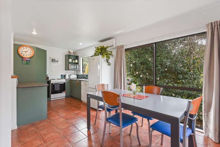 33 State Highway 30 Lake Rotoma_14