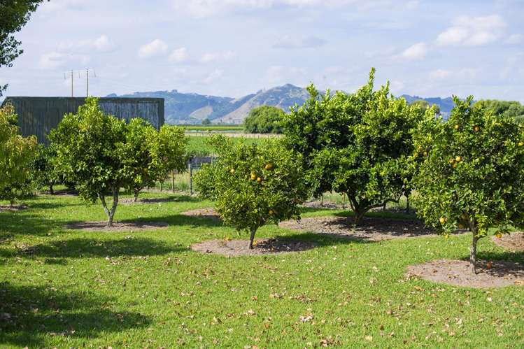 31 Pilmer Road Waerengaahika_31