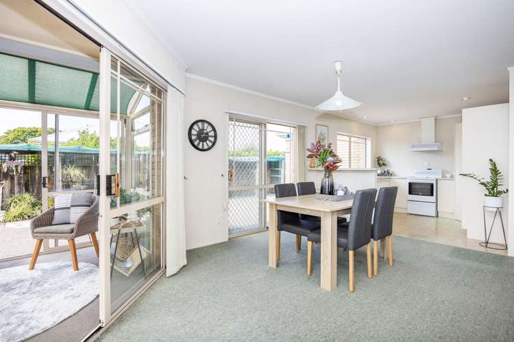 32b Brooklyn Road Claudelands_8