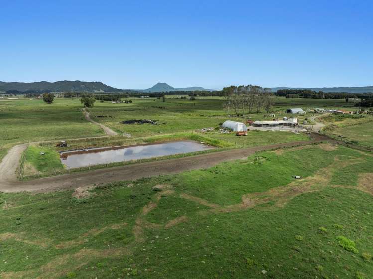 379B Powdrell Road Awakeri_6