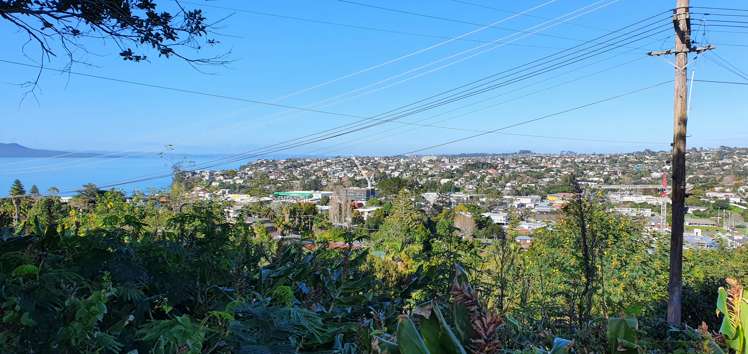 9 Carlisle Road Torbay_6