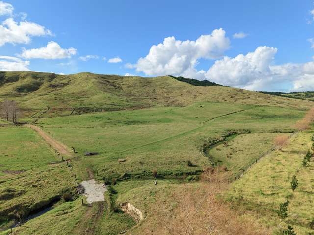 Te Moho Road Taipa_1