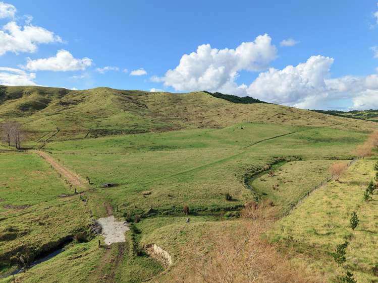 Te Moho Road_1