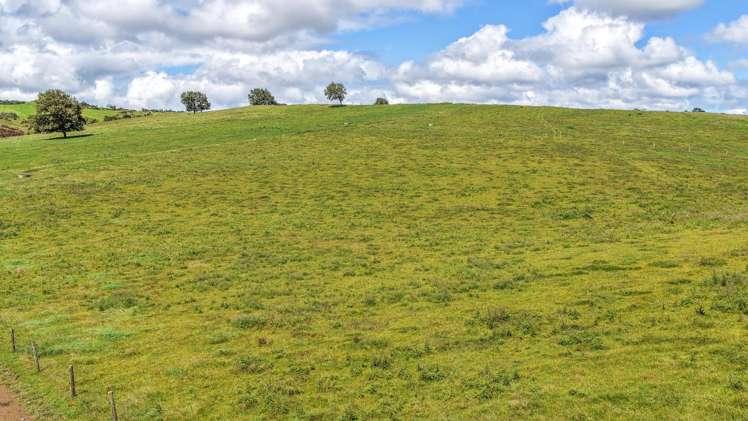 103A Ginn Road Huntly_10